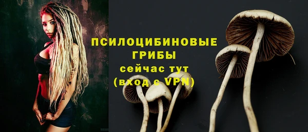 гидра Дмитриев