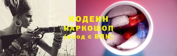 шишки Дмитровск