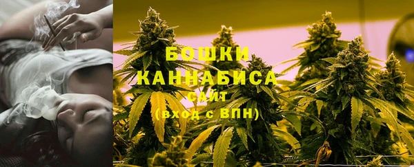 шишки Дмитровск