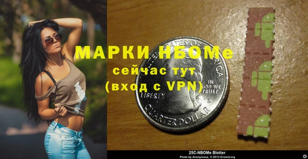 шишки Дмитровск