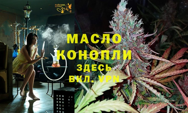 шишки Дмитровск