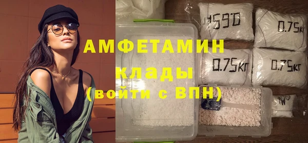 шишки Дмитровск